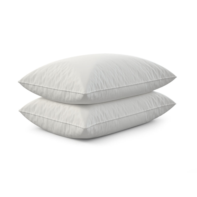 Dream Big Twin Pack Bed Pillows