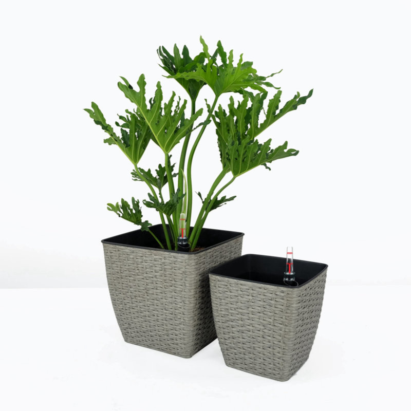Derince 2-Pack Self-watering Planter - Hand Woven Wicker - Thin Square, Light Gray, 12.6" H x 12.6" W x 12.6" D