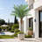 Artificial Palm Tree In A Pot-646548271