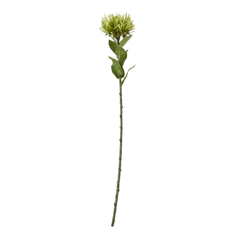 Arrangement, Green