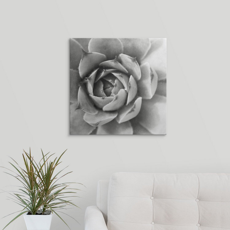 « ii » par laura marshall, reproduction de photo Garden Succulent, H 35 po x l 35 po x P 1,5 po, Toile