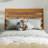 Lamareon Solid Wood Platform Bed with Footboard & Roll Out Trundle Bed-245492667-245492664