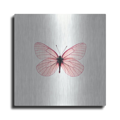 «Papillon rose» par PhotoINC Studio