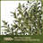 Artificial Olive Tree 6FT