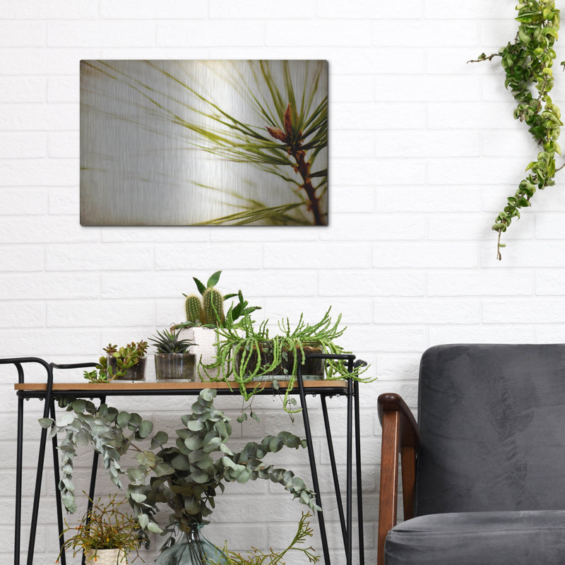«Pine Needles» par Jessica Rogers, H 12 po x l 16 po