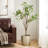 ARTIFICIAL MILAN LEAF BONSAI
