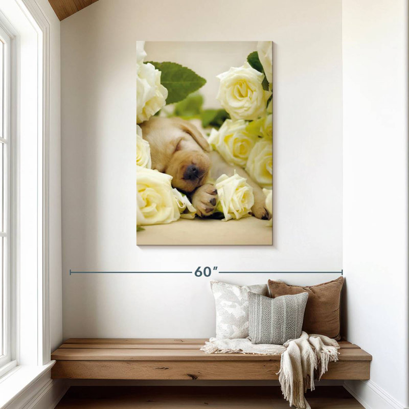 Brampt Oscar I, 45" H x 30" W
