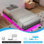 Steel Platform Bed-18536912