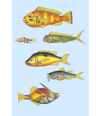 Rarest Curiosities of The Fish of The Indies - Graphic Art Print -  Buyenlarge, 0-587-30223-2C2436