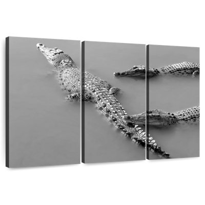 Crocodile Trio
