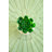 Gamache 7'' Faux Succulent in Ceramic Pot