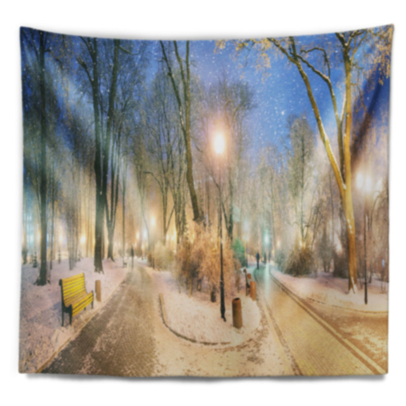 Tapisserie vue plus large Mariinsky Garden, H 32 po x l 39 po