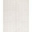 Hand-Knotted High-Quality White Area Rug