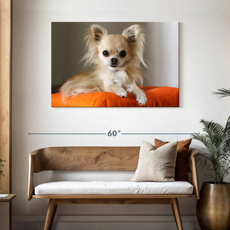 Crowhu Chihuahua sur un oreiller, H 30 po x l 45 po