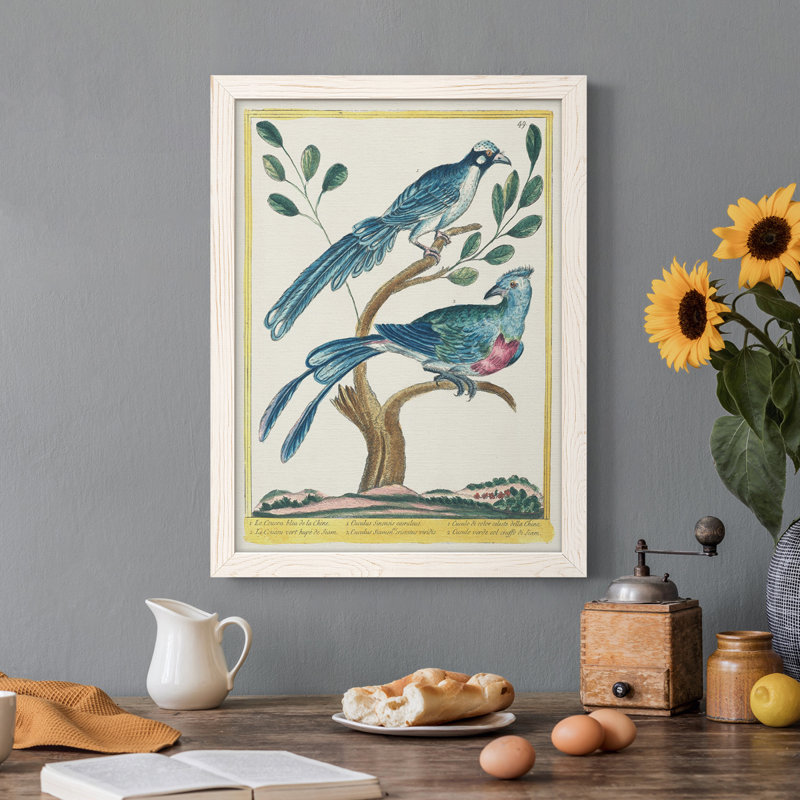 Toile encadrée Pastel Birds VI Premium - prête à être accrochée, H 44 po x l 31 po x P 1 po, Blanc