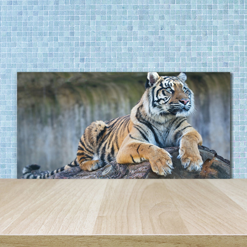 Norcatur 50cm W x 100cm L Glass Peel and Stick Panel