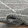 Callum Moroccan Shag Power Loom Performance Gray Rug