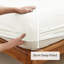 Microfiber Solid Colour Duvet Cover Set