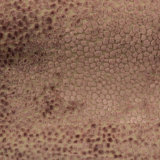 Tuscany-Florence Dots Burnout Velvet Fabric