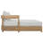 Kento Daybed-811905824-811905825