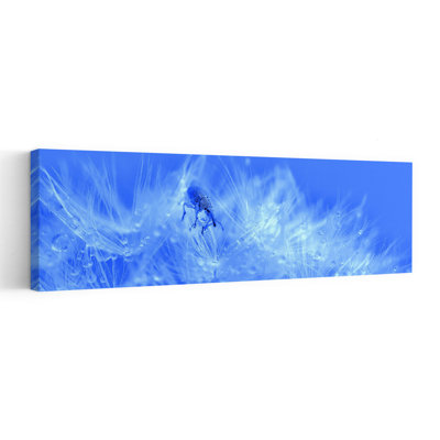 Blue Beetle On Dandelion Delicate Serene Contemporary Beetle Dandelion Nature Wall Art