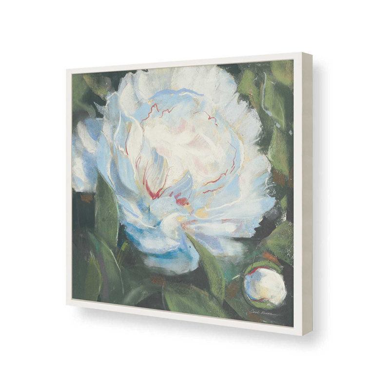 «Peony I» par Carol Rowan, reproduction d'art, H 12 po x l 12 po, Blanc