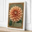 Dahlia Bloom Botanical - Wrapped Canvas-1433952868-1433952894