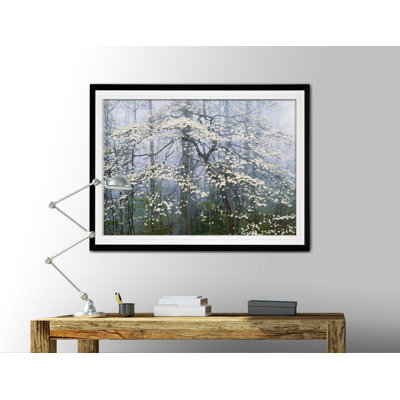 « jones _ dogwood auvent », reproduction d’impression sur toile tendue