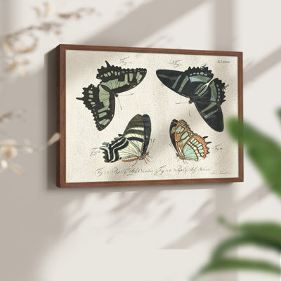 Crackled Butterflies III -Framed Print - Restickable