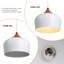 Luminaire suspendu moderne dôme blanc 11,8 pouces