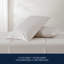 Nautica Printed Cotton Percale Sheet Sets-27355243-114851406