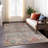  Machine Washable Indoor/Outdoor Chantille ACN1220 Rug-1735624473