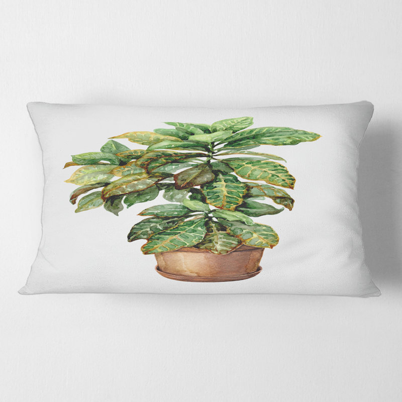 Coussin Rectangle, Croton In Clay