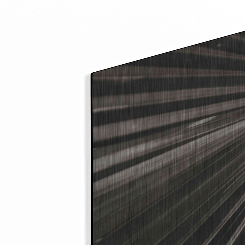 Red Barrel Studio® «Palm Frond 1» par Debra Van Swearingen, art mural en métal, H 36 po x l 24 po