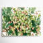 «Fruit Gooseberry Green», art mural sur toile-149540725