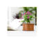 Ensemble de 2 pots à fleurs d'extérieur en bois de cèdre avec drainage, carré de 15 pouces et rectangulaire de 48 pouces, brun