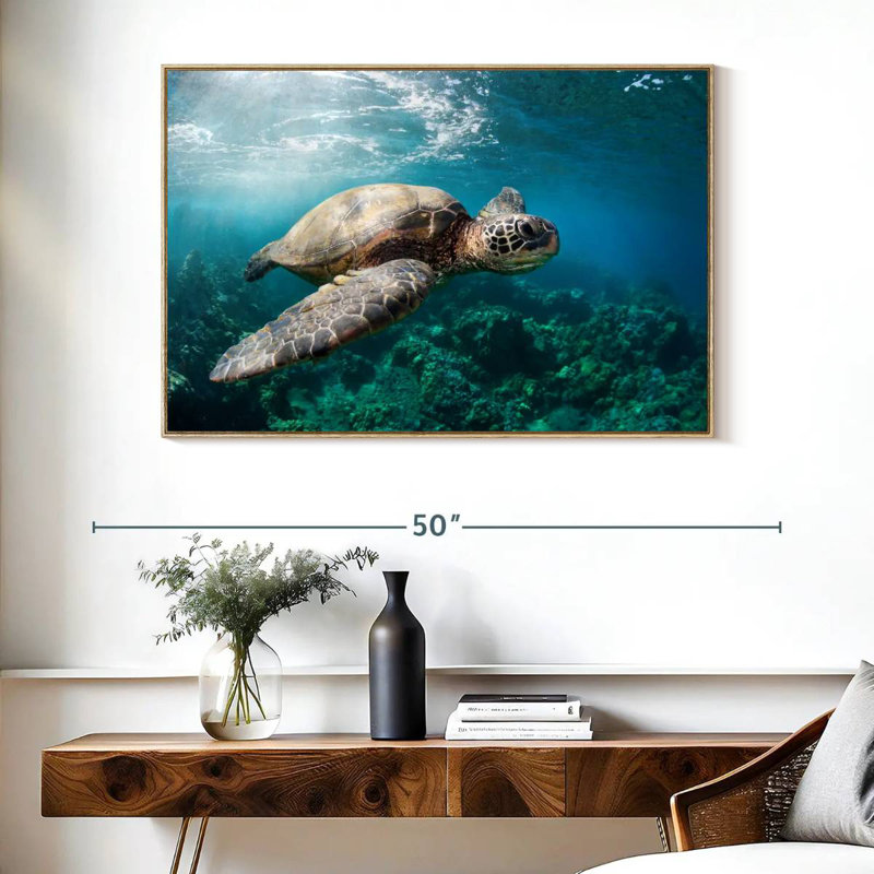 Maui Turtle, Floating Frame Natural Wood, 40" X 27"
