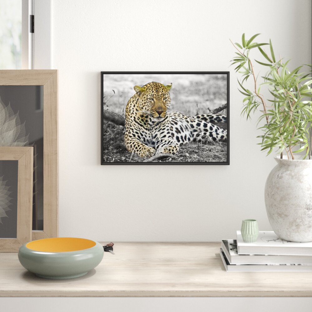 Gerahmtes Wandbild schöner Leopard liegtLaub