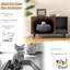 Enceinte pour chat Eccleshall