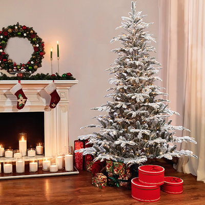 78' Lighted Fir Christmas Tree