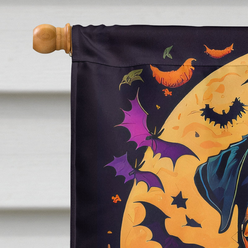 Drapeau de jardin en polyester double face Jakameron, 40 po x 28 po