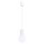 Bernis 1 - Light Brushed Nickel Pendant-181324299