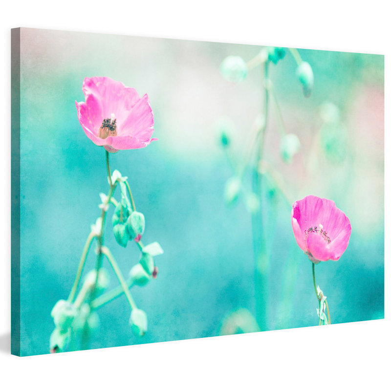 Morgan J Hartley - Wrapped Canvas Print, 61cm H x 91cm W x 3.81cm D