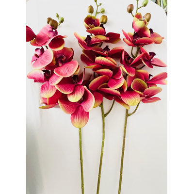 Artificial 9 Heads Phalaenopsis Real Touch Latex Orchid - 3 Stems /Red