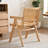 Alvonia Rattan Arm Chair Dining Chair-87100920