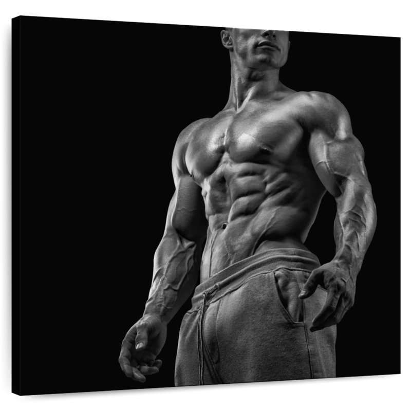 Senne, homme musclé, H 30 po x l 30 po