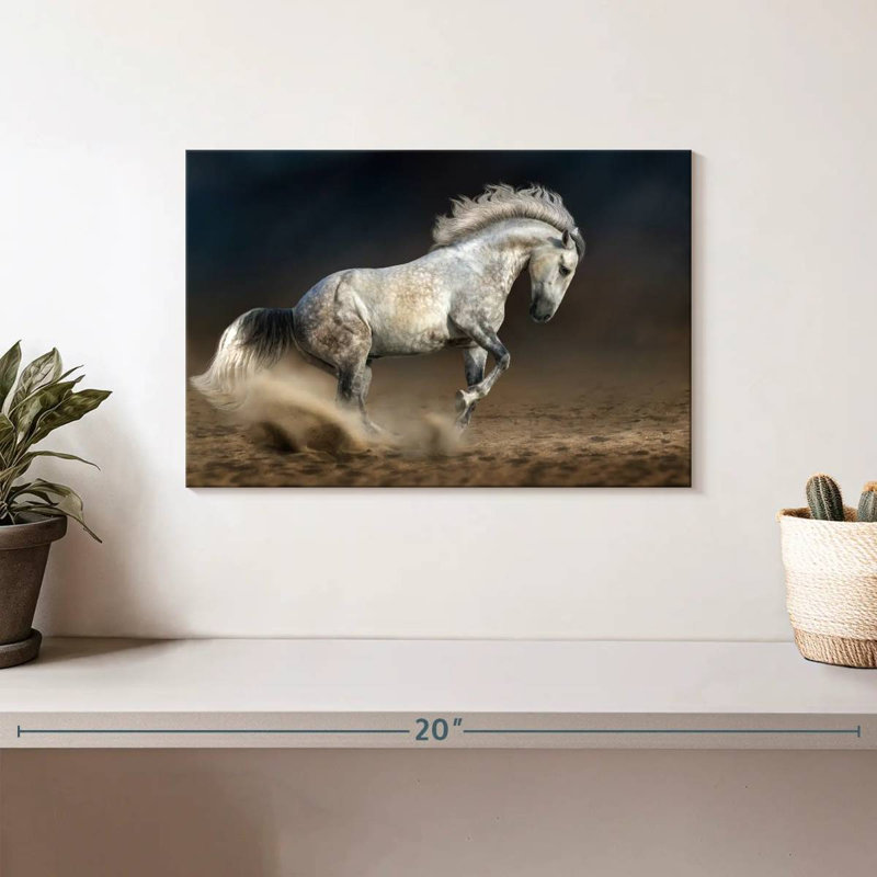 Brampt se déplaçant à cheval andalou, H 8 po x l 12 po