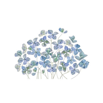 Hydrangea 1 Piece Wrapped Canvas Painting