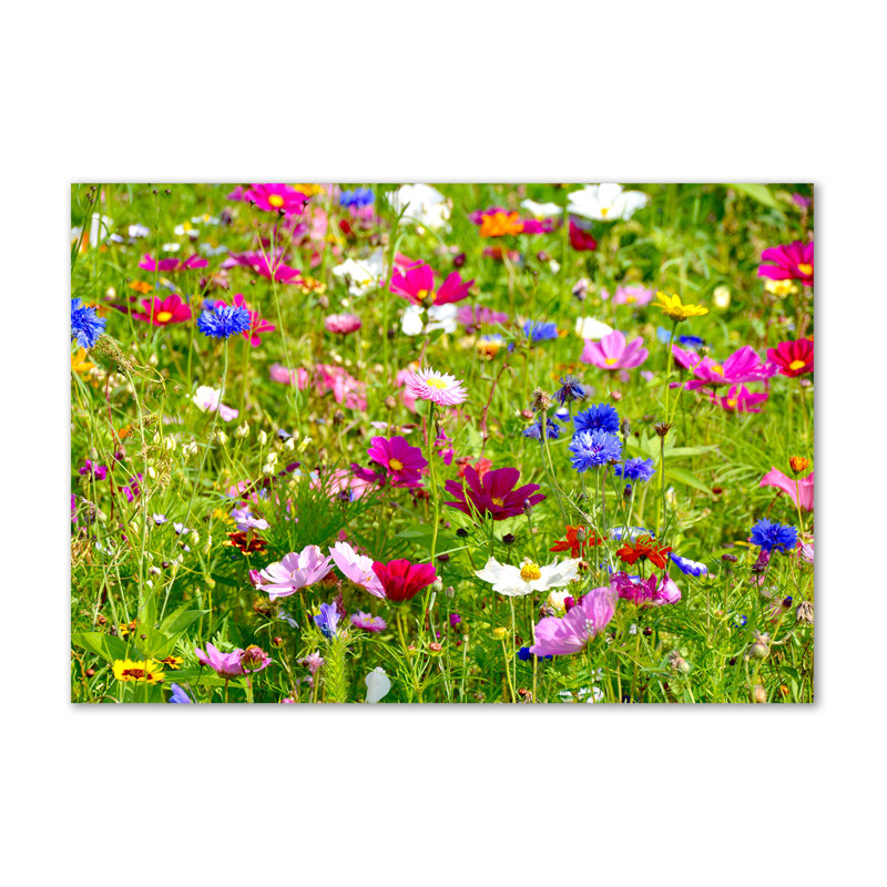 Field Flowers - Wrapped Canvas Print
