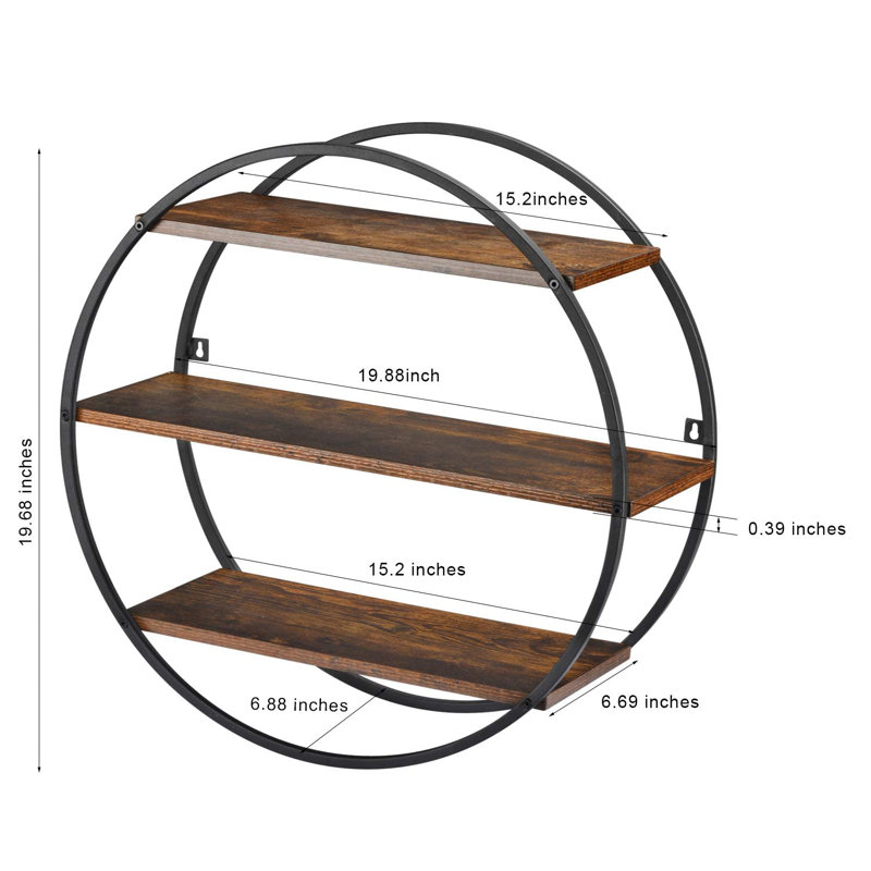 Brayville 3 Piece Circle Floating Shelf with Adjustable Shelves
